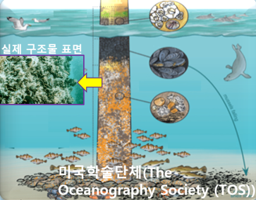 image13.png